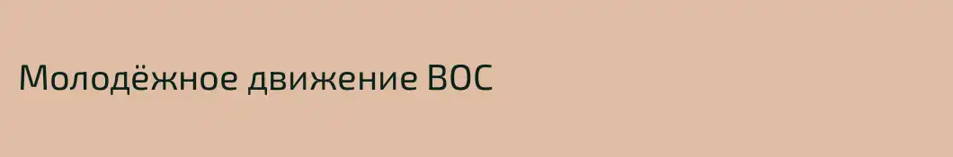 Молодёжное движение ВОС